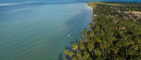 Luxury Chalet | Aerial view