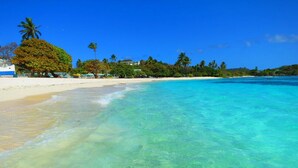 A beach with clear turquoise water, white sand, and palm trees.