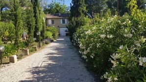 A gravel path leading to a stone house with a tiled roof, surrounded by lush greenery and white flowering plants. - LE MAS DES COSME EN PROVENCE (Aramon)