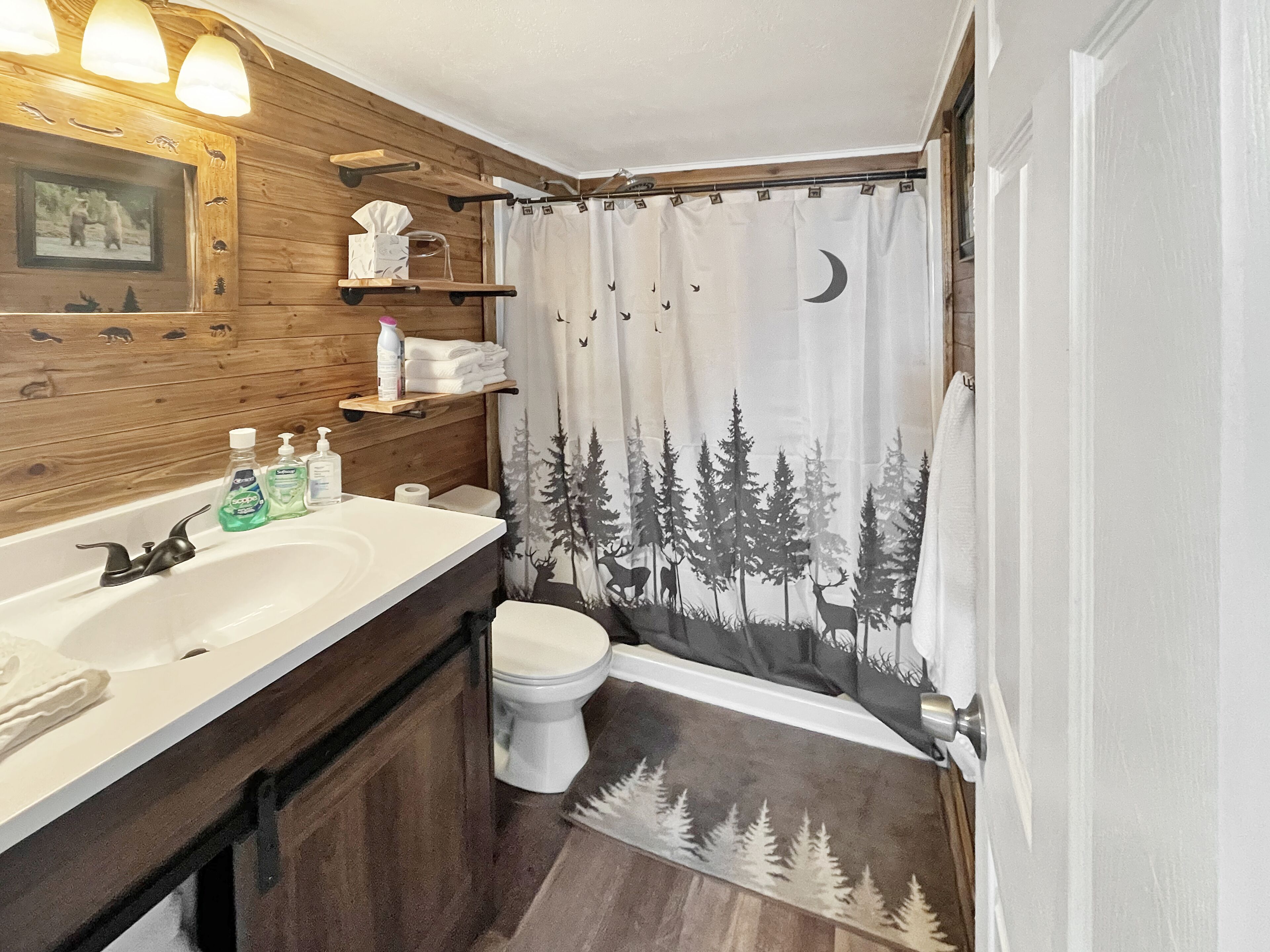 Trail riding and winter sporting fun! Close to everything and the lake!