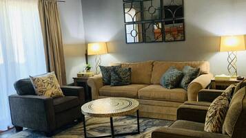 TV connectée, cheminée, livres