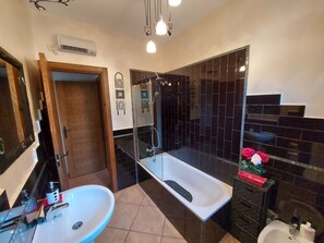 Combined shower/tub, hair dryer, bidet, towels