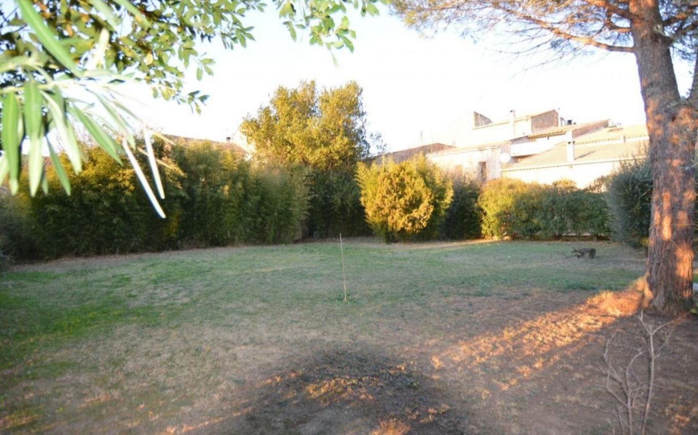 Une cour arrière verdoyante avec un arbre, des arbustes et un bâtiment en arrière-plan.