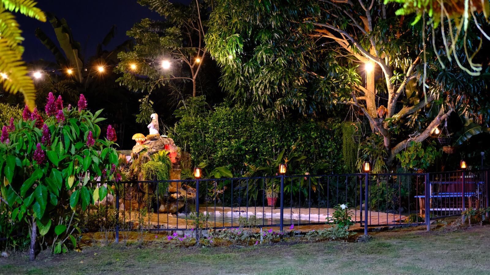 Área da propriedade