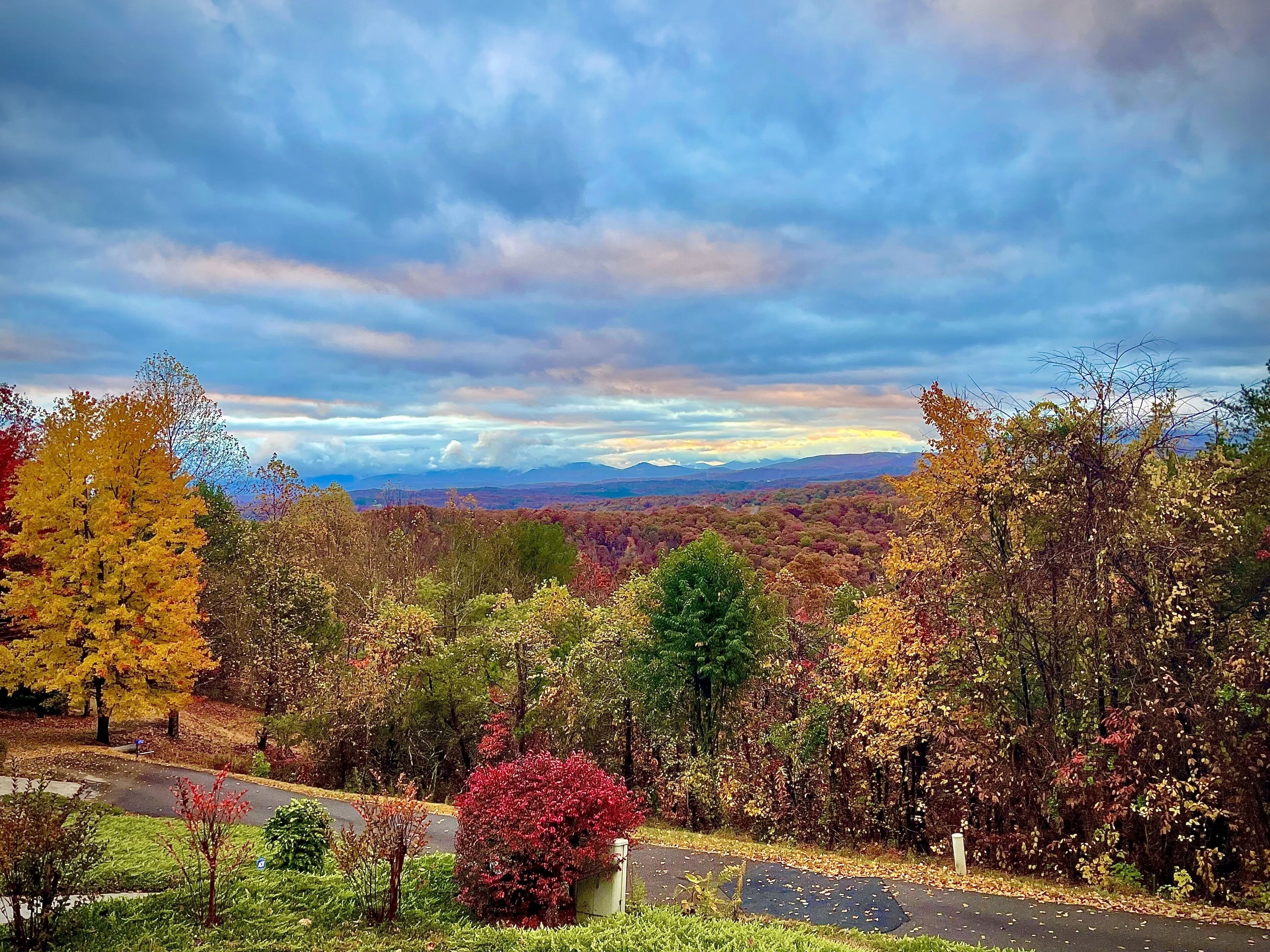 A scenic view of a road surrounded by autumn foliage with a mountain range in the distance.