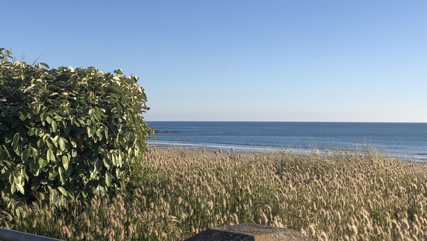 Una platja amb un camp dens d'herba alta al primer pla i un cel blau clar.