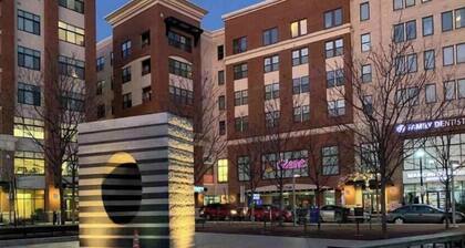 Modern Colorful Home, high exposed beams+2miles dc