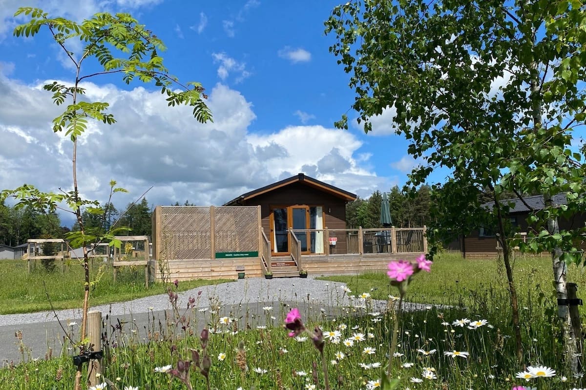 A small wooden cabin with a porch, surrounded by a grassy field and blooming flowers.