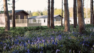 Standard Apartment, Private Bathroom | Garden