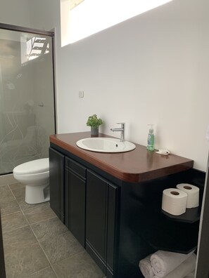 Douche, serviettes fournies, savon, papier toilette
