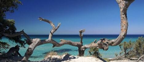 Ubicación cercana a la playa