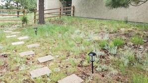 A pathway with stepping stones leading to a building, surrounded by grass and trees.