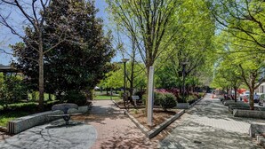 Un sendero pavimentado bordeado de árboles y bancos, que conduce a un edificio con la inscripción 'Center City'.