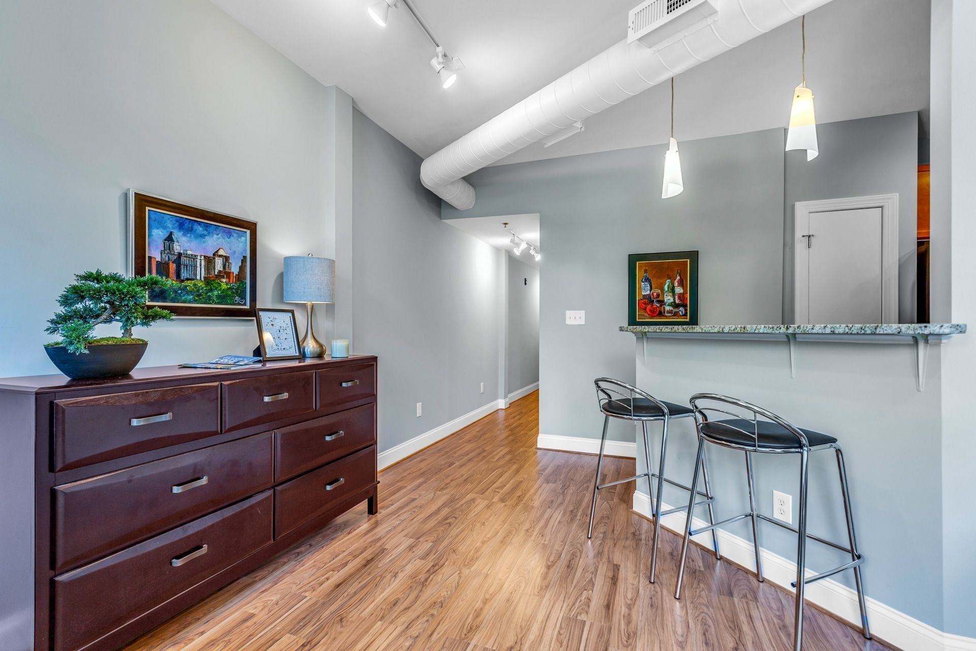 Entire Condo in the Heart of Downtown Greensboro!