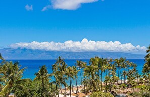 Un complexe hôtelier de style tropical situé sur une plage, avec des palmiers, une piscine et une vue sur l’océan et les montagnes en arrière-plan.