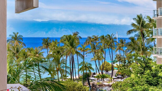A beachfront view with palm trees, a pool, and a building with balconies overlooking the ocean.
