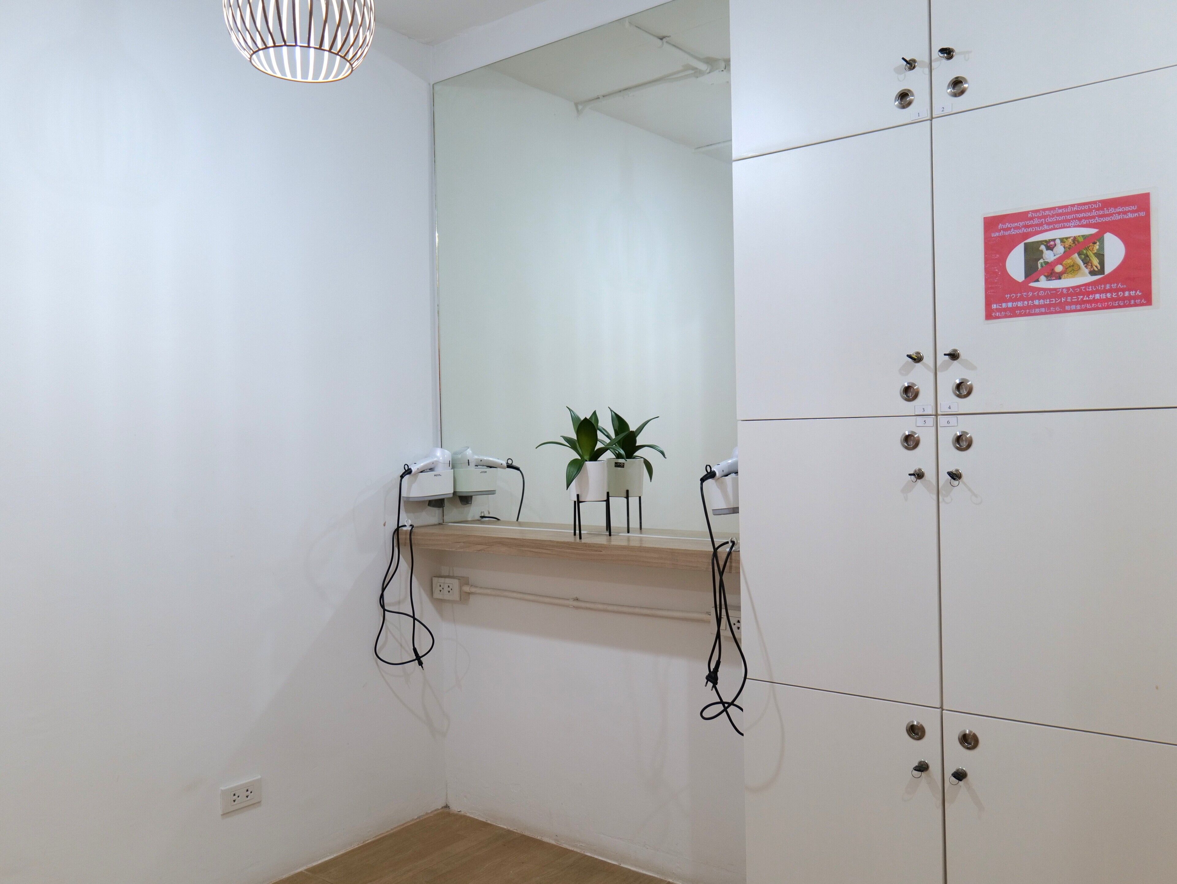 Una habitación con un espejo, una estantería con una planta y un armario con cerraduras numeradas.