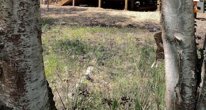 Charming and Secluded North Shore Cabin and Sauna two miles from Grand Marais!