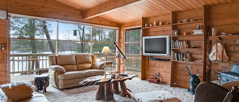TV, fireplace, books