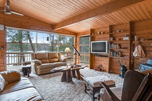 Televisión, chimenea y libros 