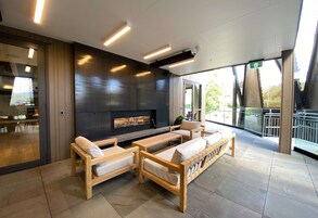 Modern European cuisine