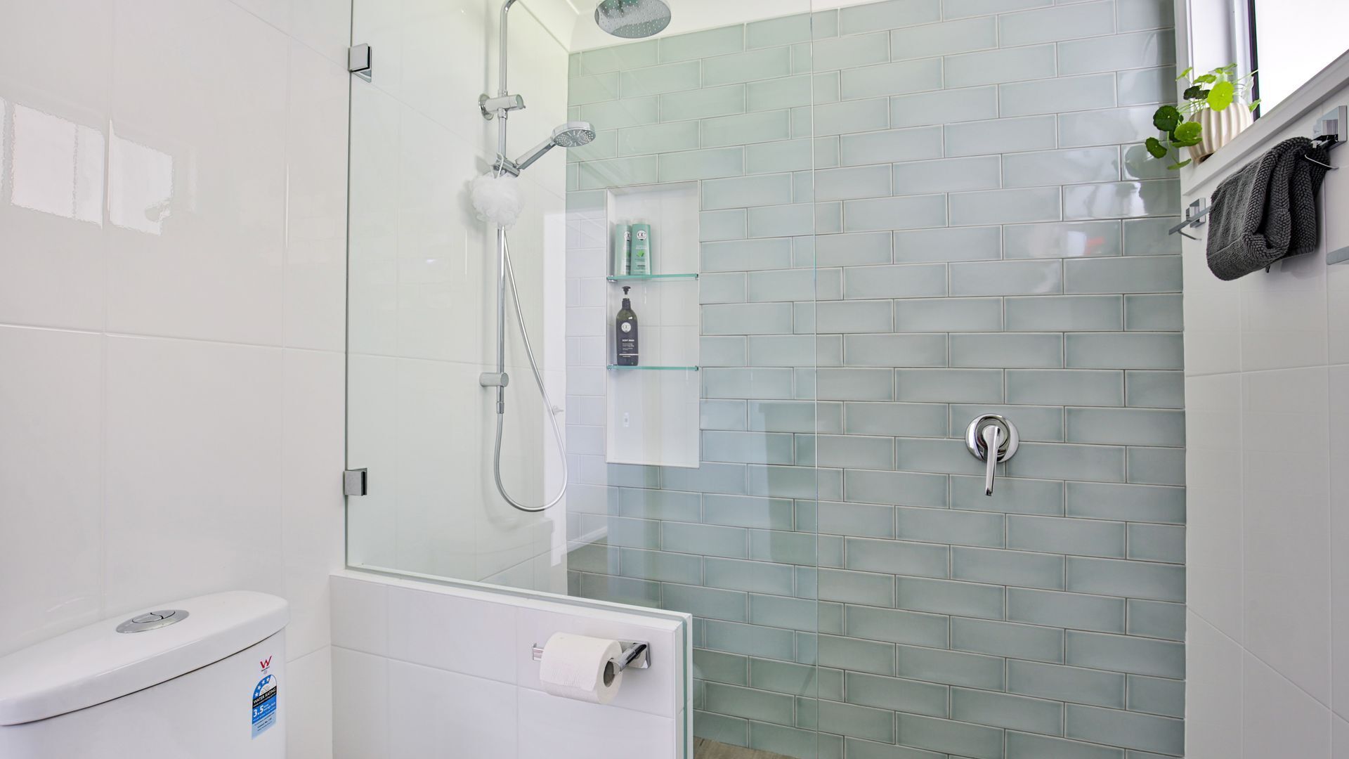 Shower, hair dryer, towels