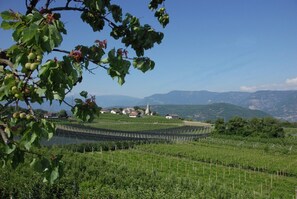 Miscellaneous - Attic Apartment "Kristallhof Bergblick" with Mountain View, Garden & Terrace (Kaltern)