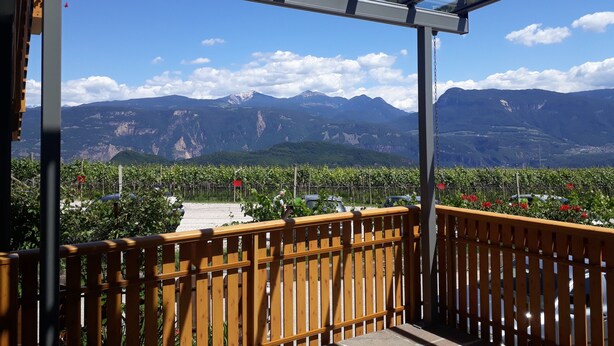 A balcony with a view of mountains, a wooden railing, and a glass enclosure.