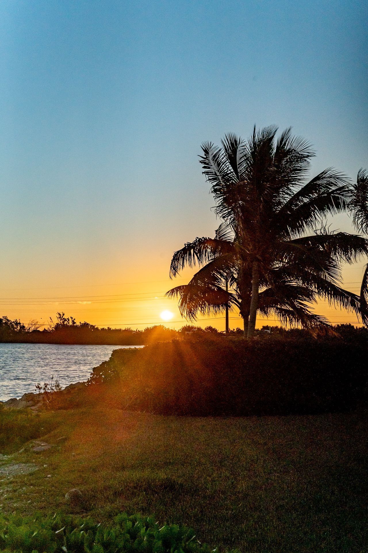 A sunset over a body of water with a palm tree silhouetted against the sky.