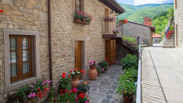 A stone building with a wooden door, potted plants, and a stone pathway.