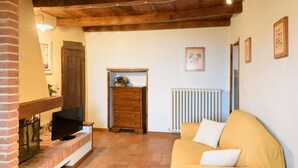 Un salon chaleureux avec une cheminée, un téléviseur, un meuble en bois et un radiateur.