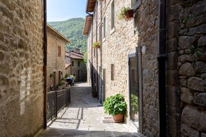 Property grounds - Borgo dei Corsi - VERGAIO 6 Apartment (Raggiolo)