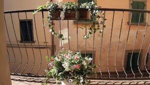 A balcony with a potted plant and a metal railing. - Cortona Shabby Chic House<br>(Independent & balcony) (Cortona)