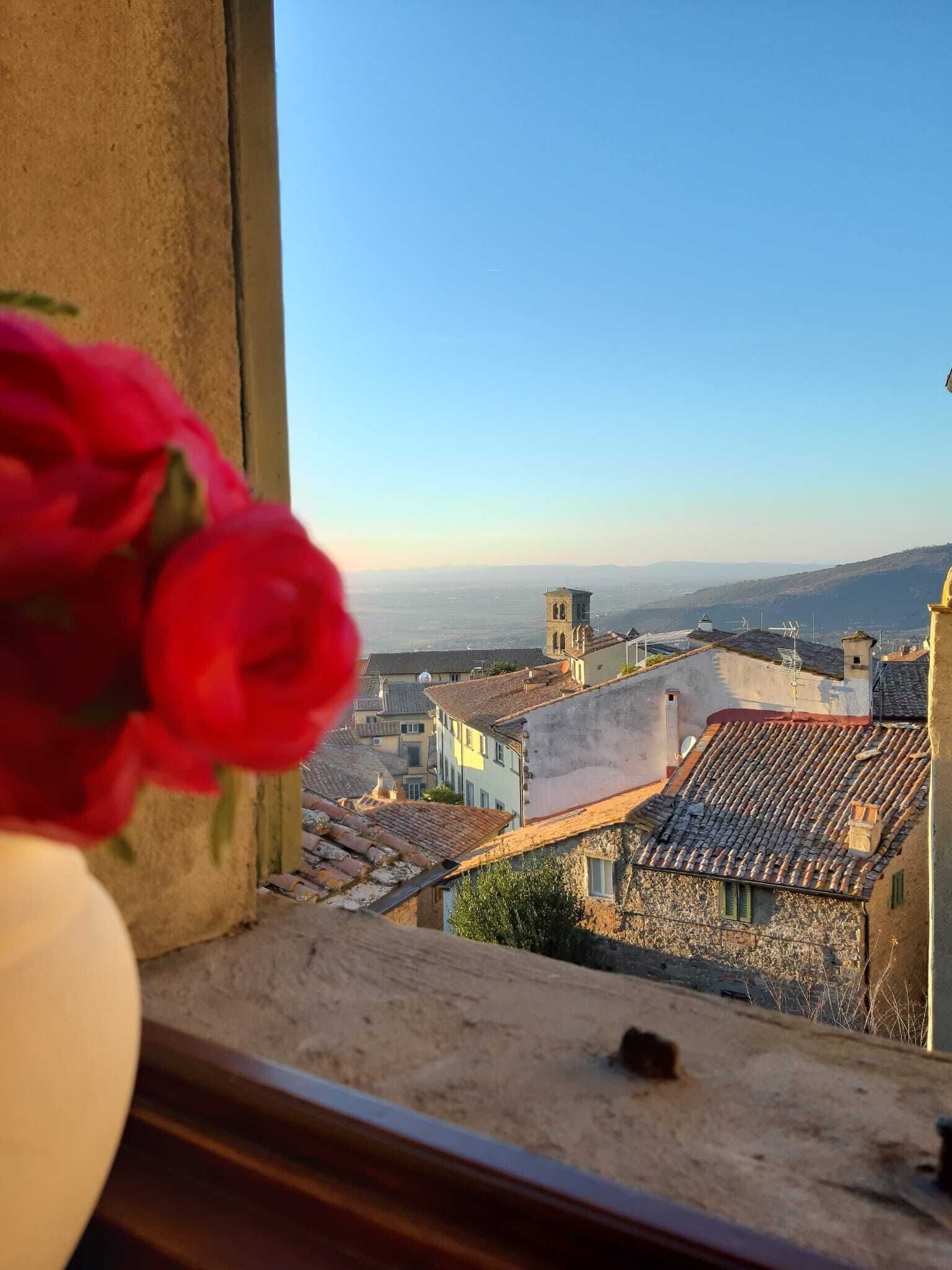 A view from a window overlooking a town with traditional architecture and a clear sky.