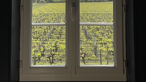 A window with a vineyard view, including rows of grapevines and a distant building. - A quaint vineyard gîte at Château Magdeleine Bouhou (Cars)