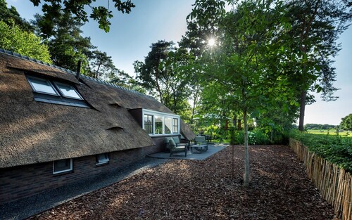 Sprielderbosch 45 Luxury holiday home on a holiday park in the Veluwe