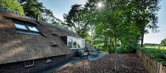 Sprielderbosch 45 Luxury holiday home on a holiday park in the Veluwe