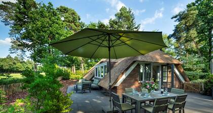 Sprielderbosch 45 Luxury holiday home on a holiday park in the Veluwe