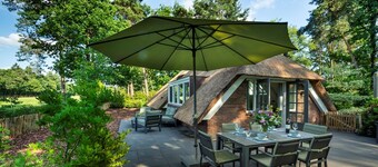 Sprielderbosch 45 Luxury holiday home on a holiday park in the Veluwe