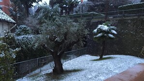 Apartment | Garden view - Appartamenti Palazzotto Stresa (Stresa)