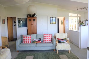 Smart TV, lareira, livros, videoteca