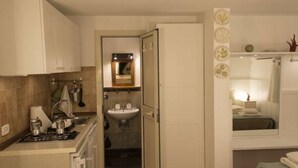 Een compacte keuken met een fornuis, gootsteen en kastjes, een kleine badkamer met een spiegel en wastafel, en een douche.
