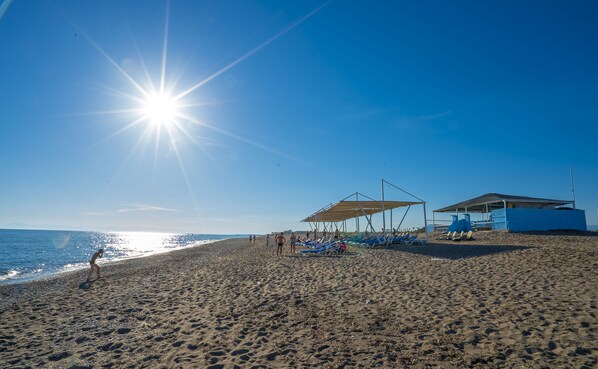 En la playa y bar en la playa