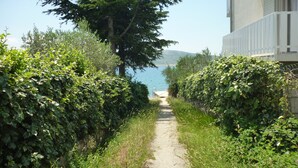 Un sentier étroit, bordé d’une végétation luxuriante, qui mène à un plan d’eau.