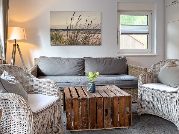 Fernseher, Kamin, DVD-Player, Bücher