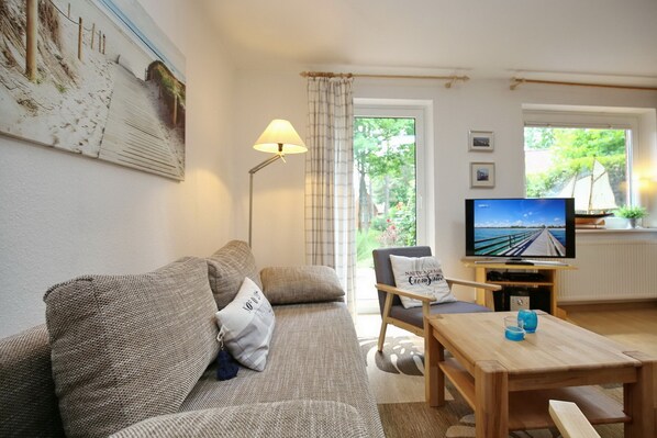 Télévision, cheminée, lecteur de DVD, chaîne hi-fi