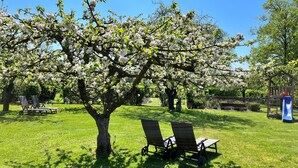 A park with a tree in full bloom, two empty lounge chairs, a playground with a slide, and a clear blue sky. - Landidyll Wohnung 02 in Elmenhorst (Elmenhorst)