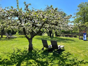 المنطقة المحيطة بالمنشأة