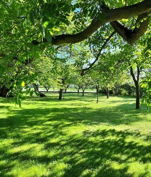 المنطقة المحيطة بالمنشأة