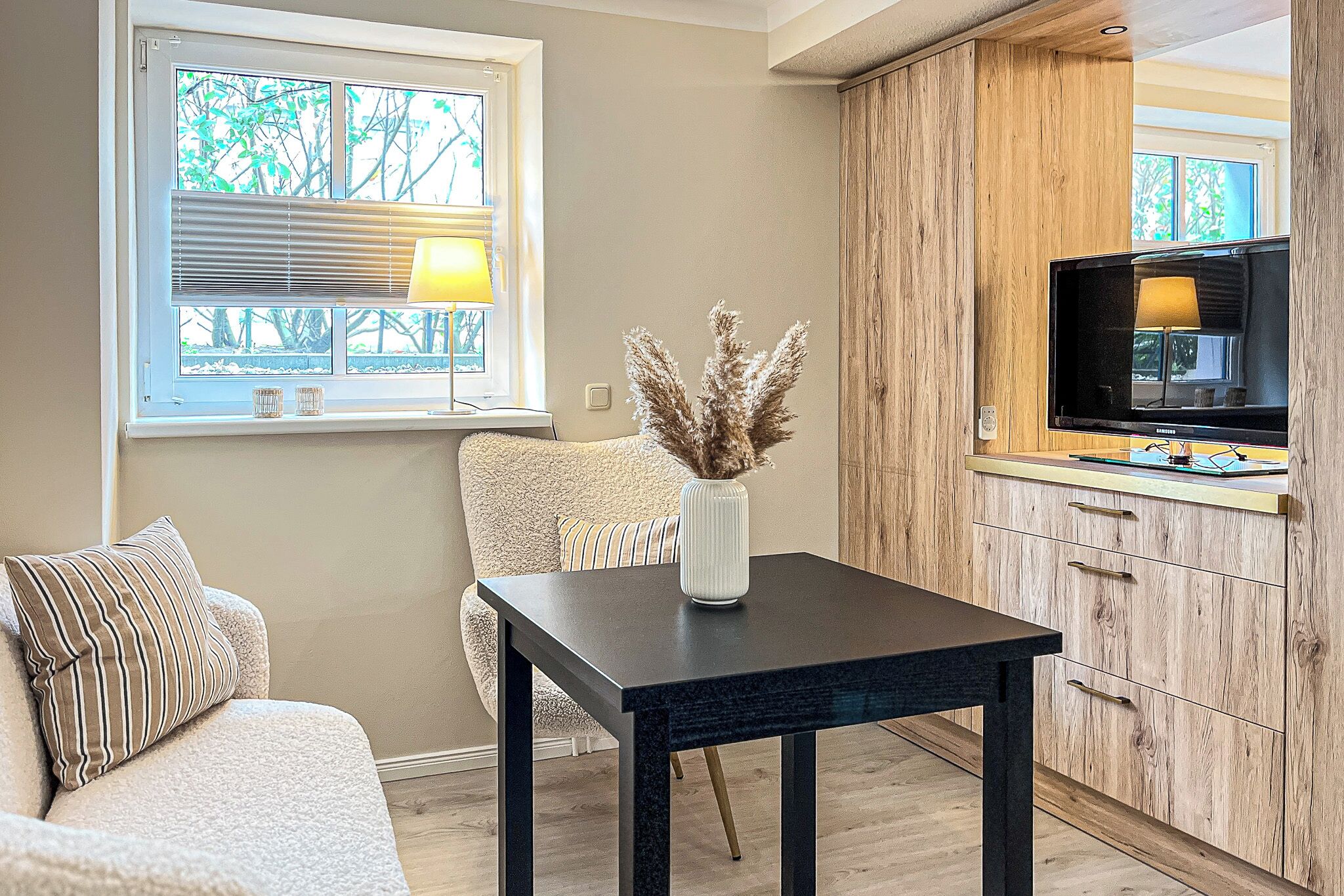 Televisor i estèreo 